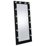 Zayan 32x71 Floor Mirror with LED Lighting, Black High Gloss