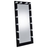 Zayan 32x71 Floor Mirror with LED Lighting, Black High Gloss