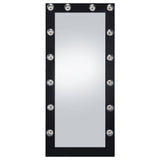 Zayan 32x71 Floor Mirror with LED Lighting, Black High Gloss