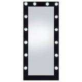 Zayan 32x71 Floor Mirror with LED Lighting, Black High Gloss