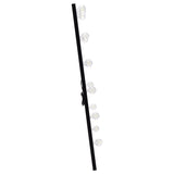Zayan 32x71 Floor Mirror with LED Lighting, Black High Gloss