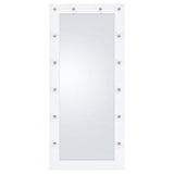 Zayan 32x71 Floor Mirror with LED Lighting, White Gloss
