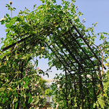 Garden Arch With Adjustable & Climbing Plants Support - Black