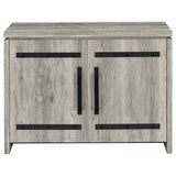 2 Door Accent Cabinet With Accents - Gray