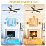 Reversible DC Motor Ceiling Fan With Dimmable LED Light For Living Room