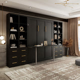 Multifunctional Vertical Murphy Wall Bed