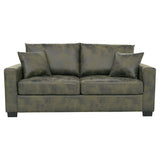 2 Seater Sofa, 2 Throw Pillows For Living Room - Olive Green