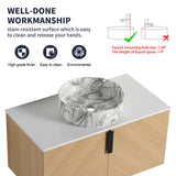 Wall Mounted Design Bathroom Vanity & Art Sink