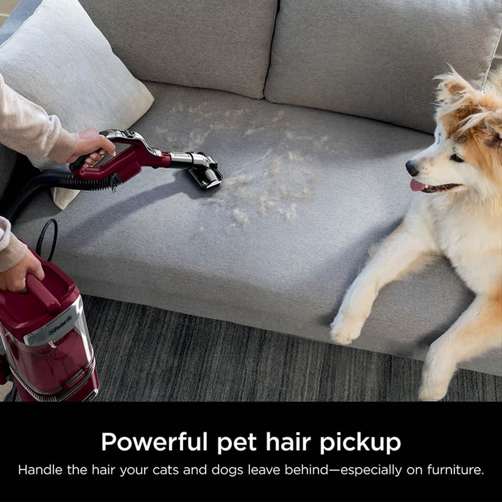 Shark LA492 pet tool on upholstery