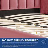 Wingback Channel Tufted Performance Velvet Queen Platform Bed