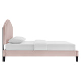 Channel Tufted Scalloped Performance Velvet Platform Bed