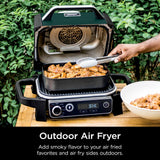 Green Ninja OG702QGN outdoor air fryer with crisper basket