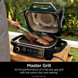 Green Ninja OG702QGN grilling steaks