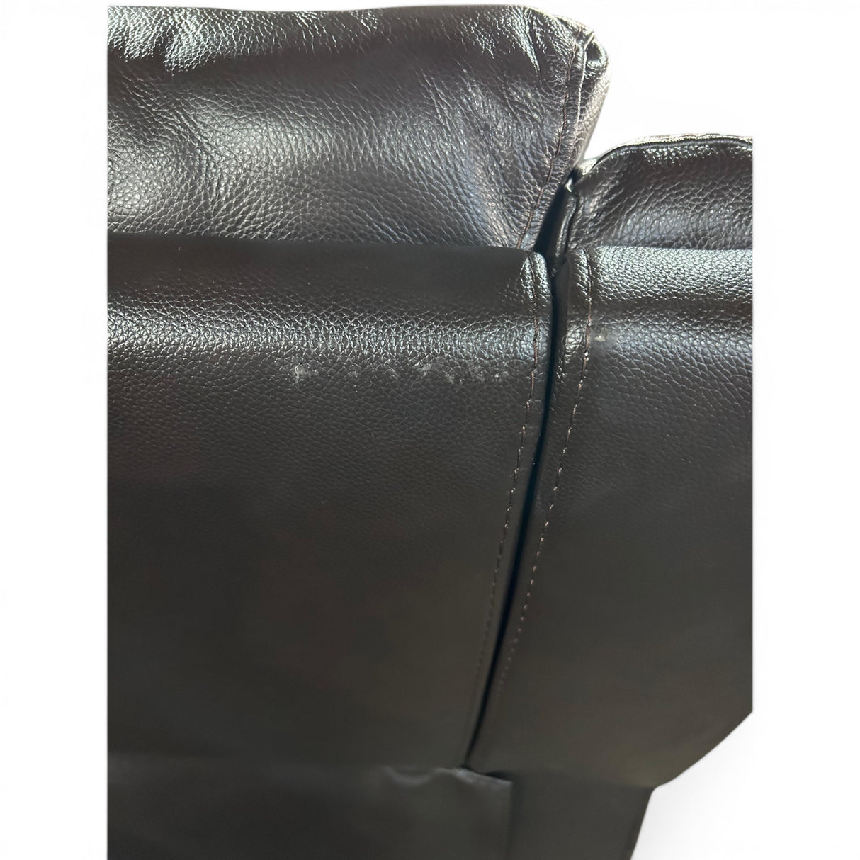 Alba Leather Power Reclining Sofa with Power Headrests