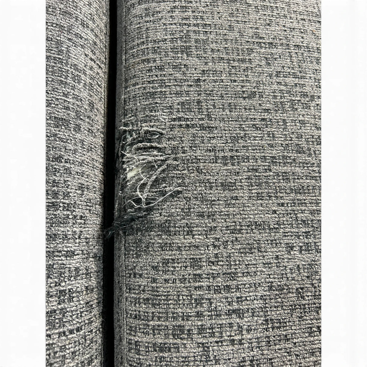 Coddle Aria Fabric Sleeper Sofa with Reversible Chaise and Storage, Gray