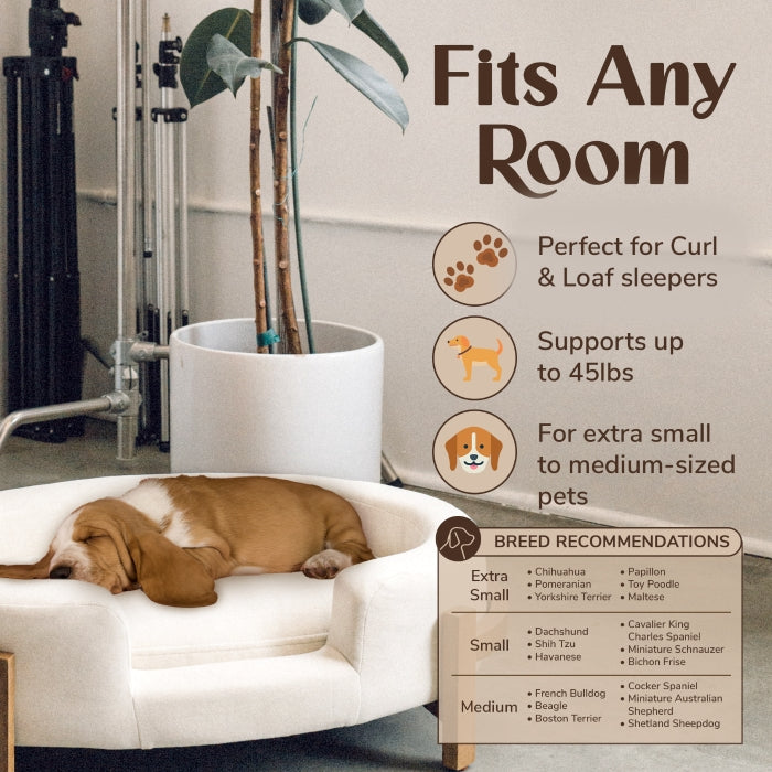 Pet Belle Bed