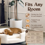 Pet Belle Bed