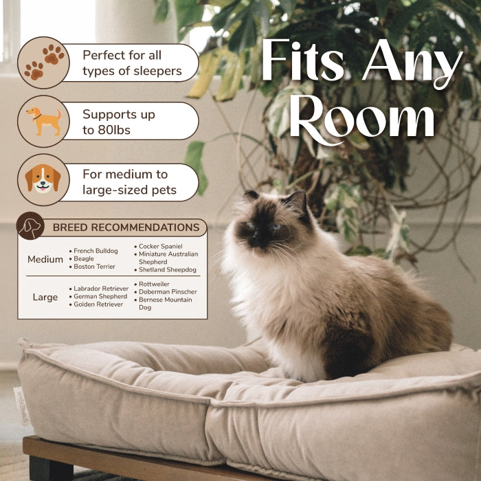 Pet Harlow Bed