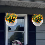 Self Watering Hanging Planter