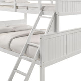 Sami - Bunk