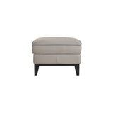 Aaron - Leather Ottoman - Mist Gray