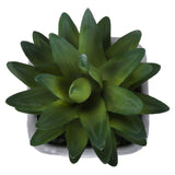 Artificial Succulent, Table Decor (Set of 2) - Green / Gray
