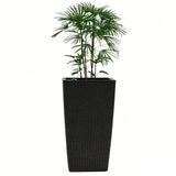 Indoor Outdoor Planter With Automatic Watering System