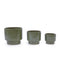 Home Accents