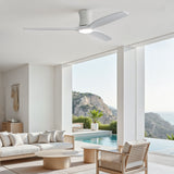 52" Ceiling Fan With Light, Dimmable DC Reversible Motor, 3 Blades