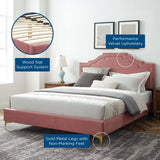Arched Performance Velvet King Platform Bed with Double Nailhead Trim in Dusty Rose - Platform Bed available at Alpine Outlets in Denver