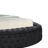 Hazel - Queen Size Tufted Storage Bed & Bluetooth Speakers, USB Port - Black