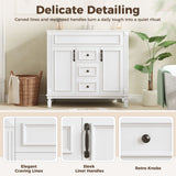 Bathroom Vanity With Top Sink, Cabinet With 2 Soft Closing Doors And Drawers