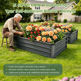 Large Garden Bed For Outdoor