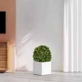 22" Artificial Topiary Boxwood Ball Trees for Outdoor Front Porch, 2pcs/set