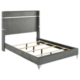 Malcolm - Wingback Bed