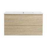 Wall Mounted Bathroom Vanity & Sink, 2 Soft Close Drawers