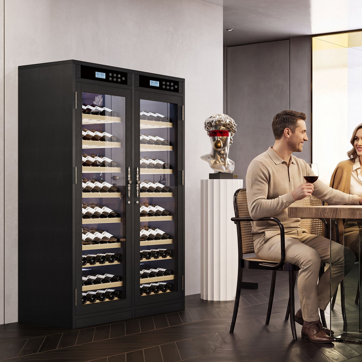 Wine Cooler With Dual Zone Temperature Control, Vacuum Insulated Door - Black