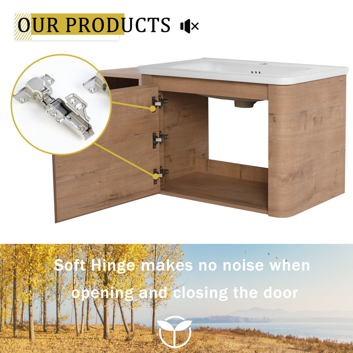 Wall Mounted Bathroom Vanity & Sink, Storage Shelves & Soft Close Door