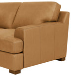 Large Seating Modular Sectional