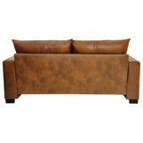 2 Seater Sofa, 2 Throw Pillows For Living Room
