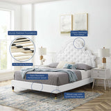 Button Tufted Performance Velvet Platform Bed with Nailhead Trim and Gold Detail - Platform Bed available at Alpine Outlets in Denver