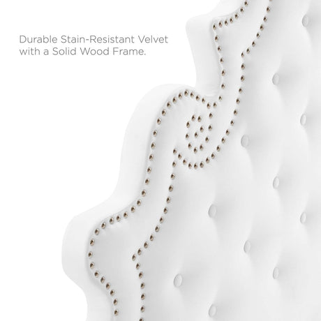 Button Tufted Performance Velvet Platform Bed with Nailhead Trim and Gold Metal Legs - Platform Bed available at Alpine Outlets in Denver