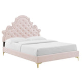 Button Tufted Performance Velvet Platform Bed with Nailhead Trim and Gold Metal Legs - Platform Bed available at Alpine Outlets in Denver
