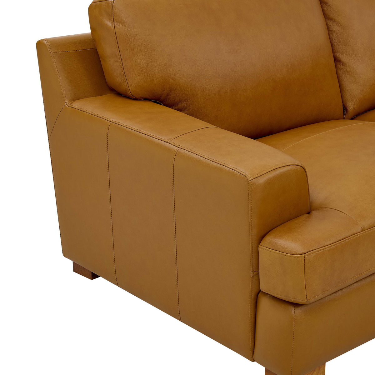 Large Seating Modular Sectional