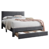 Contemporary Bed & Storage Drawer