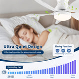Low Profile Flush Mount Ceiling Fan With Light