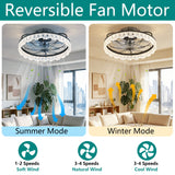 21" Caged Ceiling Fan With Remote Controlled Acrylic LED Lights - Antique Black