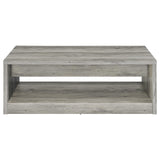 Nuberg - 2 Drawer Coffee Table Rectangular Design - Gray