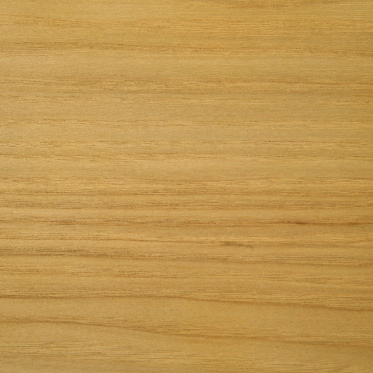 Vera - 31.5" Wood Top Pub Table - Natural