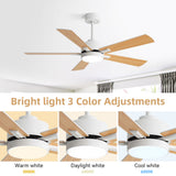 Reversible DC Motor Ceiling Fan With Dimmable LED Light For Living Room